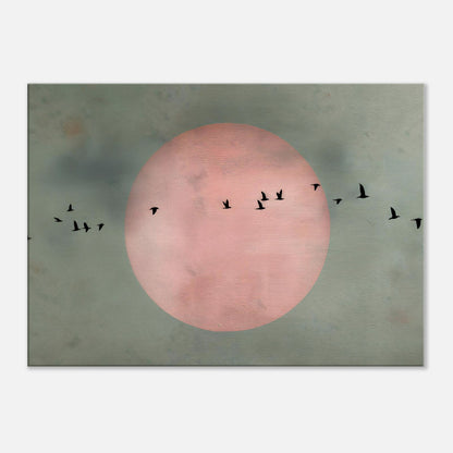 959aff45-eab1-4895-bfa3-ffe883671117